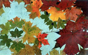 Autumn Leaves, af Philippe Robert, Robert Ried udgaver