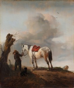 En hvid hest; skimmelsvamp. Omkring 1646 af Philips Wouwerman