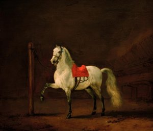 En hvid hest i stalden af Philips Wouwerman