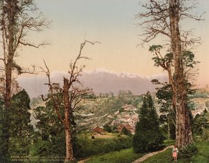 Darjeeling. Kinchinjunga og sneen fra Beechwood Park
