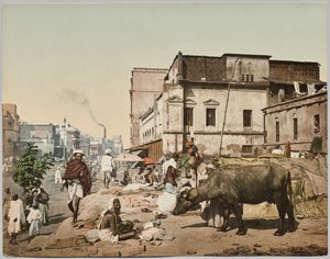 Indien. Calcutta. Harrison Road I med Group of Jogees, efter foto af Dr. Kurt Boeck