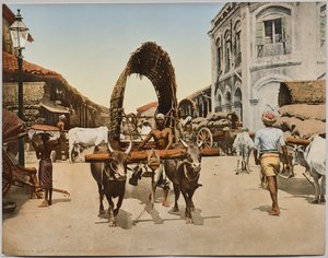 Indien. Ceylon. Colombo. Street Scene, efter foto af Dr. Kurt Boeck