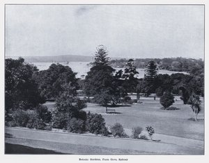 Botanisk have, Farm Cove, Sydney (s/h-billede) af Photographer Australian