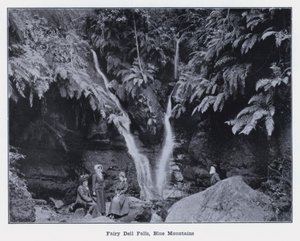 Fairy Dell Falls, Blue Mountains (s/h-billede)