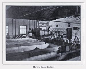 Moruya Cheese Factory (s/h foto) af Photographer Australian