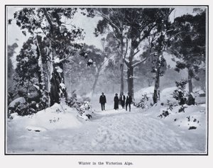 Vinter i de victorianske alper (s/h foto) af Photographer Australian