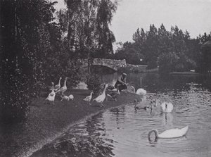 Lake, Beacon Hill Park, Victoria, British Columbia (s/h-billede)