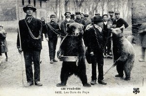 Bjørneshow i Pyrenæerne, ca. 1900 (s/h-foto) af Photographer French