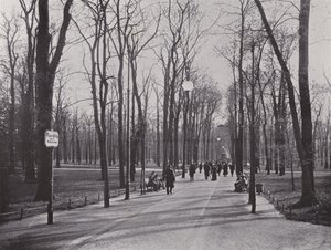 I Tiergarten, Ahornsteig (s/h foto) af Photographer German