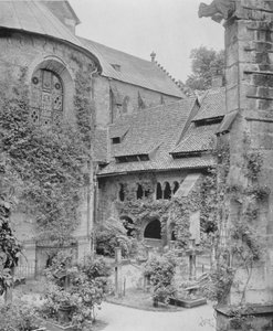 Tausendjahriger Rosenstock (s/h foto) af Photographer German