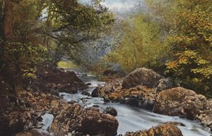 Irland: In The Dargle, County Wicklow (farvet foto) af Photographer Irish