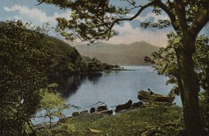 Sydirland: Ved Innisfallen, Killarney (farvet foto) af Photographer Irish