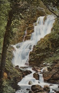 Sydirland: Torc Cascade, Killarney (farvet foto) af Photographer Irish