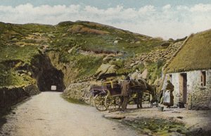 Sydirland: Tunnel nær Glengarriff, County Cork (farvet foto) af Photographer Irish