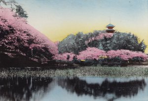 Japan, ca. 1912: Sankei, hr. Haras P.
