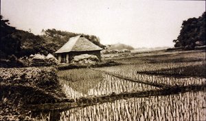 Rismarker i Japan af Photographer Japanese