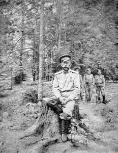 Tsar Nikolaj II i bolsjevikisk fangenskab i Tsarskoje Selo