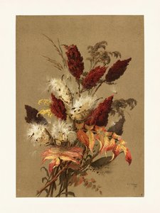 Sumak og mælkeblomst af Ellen Thayer Fisher af Pictufy