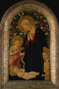 Madonnaen, der tilbeder barnet med spædbarnet Saint John the Baptist, Angel og Rose Hedge bag (tempera på panel)