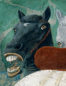 Legenden om det sande kors, modtagelse af dronningen af Saba af kong Salomon, detalje af en hest, færdiggjort 1464 fresco