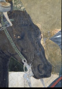 Legenden om det sande kors, Konstantins sejr i slaget ved Milvian Bridge, detalje af hestehovedet, færdiggjort 1464 fresko se også 116343