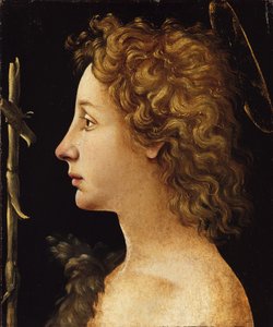 Den unge Sankt Johannes Døberen (tempera og olie på træ) af Piero di Cosimo