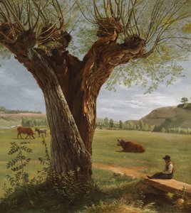 Pollard Willow, efter 1804 (olie på papir, monteret på lærred) af Pierre Jean Boquet