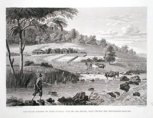 New South Wales, New Holland: Udsigt over Cox-floden i den vestlige del af Blue Mountains, fra 