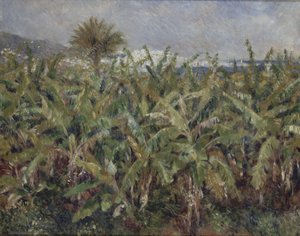 Mark med banantræer Champ de bananiers, 1881 af Pierre Auguste Renoir