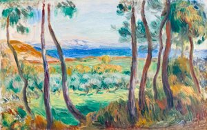 Pines nær Cagnes, ca. 1910 (olie på lærred) af Pierre Auguste Renoir