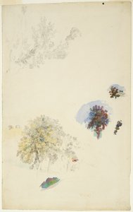 Studier af træer og løv af Pierre Auguste Renoir