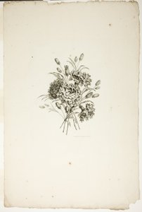 Buket med nelliker, fra samling af forskellige buketter af blomster, opfundet og tegnet af Jean Pillement og indgraveret af P. C. Canot af Pierre Charles Canot