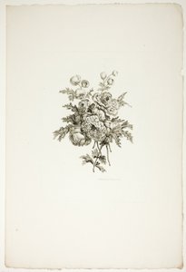 Buket med pæoner, fra samling af forskellige blomsterbuketter, opfundet og tegnet af Jean Pillement og graveret af P. C. Canot af Pierre Charles Canot