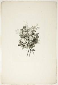 Buket med roser, fra samling af forskellige buketter af blomster, opfundet og tegnet af Jean Pillement og indgraveret af P. C. Canot
