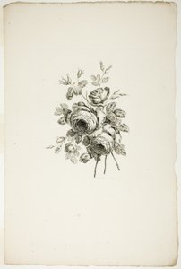 Buket med roser, fra samling af forskellige buketter af blomster, opfundet og tegnet af Jean Pillement og indgraveret af P. C. Canot af Pierre Charles Canot