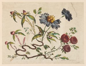 Print, Flower Boughs, fra "Recueil de Differentes Fleurs de Fantaisie Dans le Goût Chinois". af Pierre Charles Canot