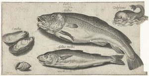 Torsk, hvilling, en delfin og skaller Fiskeri (serietitel) Piscium vivae-ikoner (serietitel)