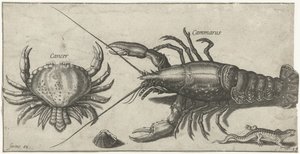Hummer, krabbe, salamander og en skal Fiskeri (serietitel) Piscium vivae-ikoner (serietitel)