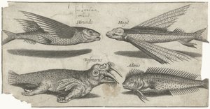 Flyvende grynt, klump, blenny og en hvalros Fiskeri (serietitel) Piscivm vivae ikoner (serietitel)