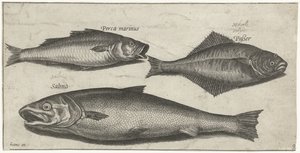 Havaborre, tunge og en laks Fiskeri (serietitel) Piscium vivae-ikoner (serietitel)