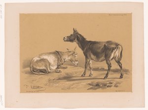 Studie af to æsler Cooper