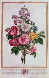 Buket roser Litografi af Pierre Joseph Buchoz (1731-1807) 1700-tallets Paris, B.N. af Pierre Joseph Buchoz