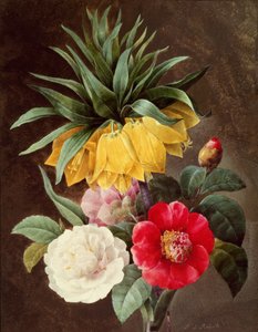 Eksotiske blomster af Pierre Joseph Redouté