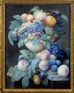 Druer i en kop. Maleri af Pierre Joseph Redoute (1759-1840) af Pierre Joseph Redouté