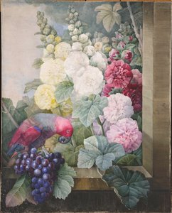 Stokroser, druer og en papegøje, 1836. af Pierre Joseph Redouté