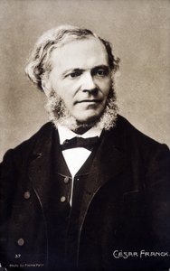 Portræt af César Franck, fransk komponist og organist af belgisk oprindelse (1822-1890).