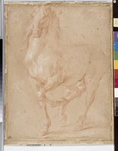Hestestudie (sangvinsk) af Pierre Puget