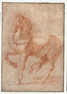 Studie af Bucephalus til relieffet "Alexander og Diogenes" af Pierre Puget