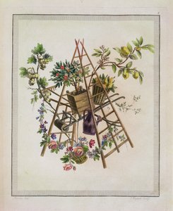 Et havetekstildesign fra Work indeholdende en samling af trofæer, attributter, kartoucher, vaser, blomster, ornamenter og flere hyggelige tegninger til brodering af lænestole, graveret af Etienne C