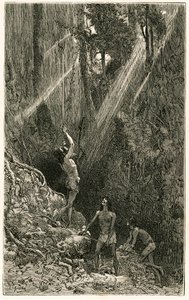 Suno-indianere, fra bredden af Napo-floden (Amazon), på jagt efter sarbacan. Gravering af Vignal, for at illustrere historien "Amazon og Cordilleres""